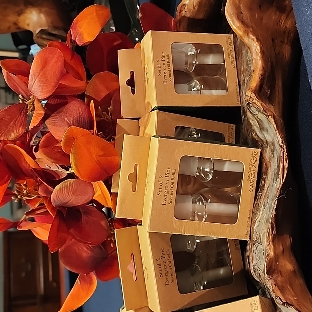 NIB Bee and Willow Evergreen Pine scented oil refills 6 Box Bundle
